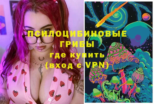 шишки Гусь-Хрустальный